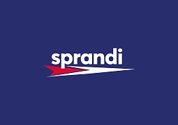 Скидка 25% на утепленные кроссовки Sprandi